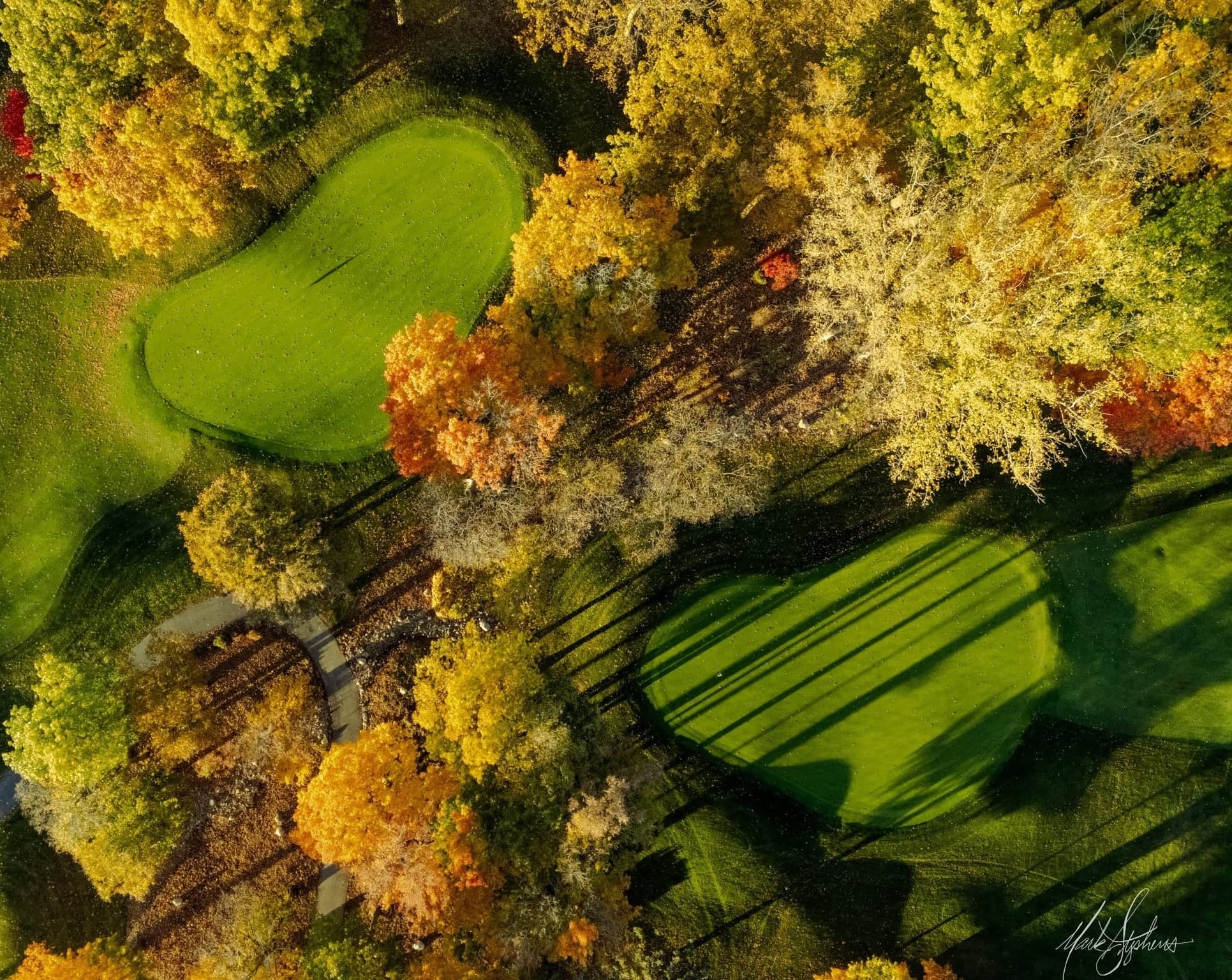 Top-down aerial of two greens at The Fortress amid fall canopy and raking shadows